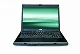 Toshiba Satellite L355-s7902 17.0-Inch Laptop (Intel Pentium T3400 Processor, 3 GB RAM, 250 GB Hard Drive, DVD SuperMulti Drive, Vista Premium)