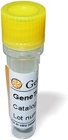 FGFR4 antibody [N1N3] - fibroblast growth factor receptor 4, 100 µL volume supplied