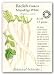 Radish Daikon Miyashige White Certified Organic Seed