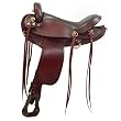 16" Big Horn Flex Endurance Saddle with QH Bars