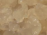 Water Kefir Grains by Cultures for Health LLC On Sale