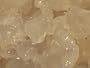 Water Kefir Grains