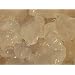 Water Kefir Grains