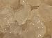 Water Kefir Grains