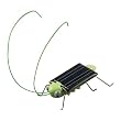 Frightened Grasshopper Solar...