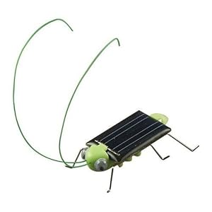 OWI Frightened Grasshopper Kit - Solar Powered by OWI