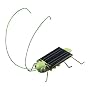 Frightened Grasshopper Solar Powered Bug