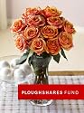 Ploughshares Fund Roses