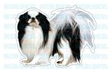 41kyhk1M AL. SL160  JAPANESE CHIN   Dog Decal  sticker car got dogs graphic