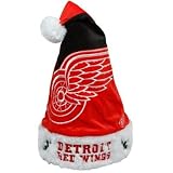 Detroit Red Wings 2011 Colorblock Runoff Plush Santa Hat