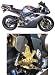 ギルズツーリング バックステップ カラー：ゴールドポジション：9ポジションバック：0〜20mmアップ：0〜30mm TRIUMPH DAYTONA675 [デイトナ]でAmazonアフィリエイトツール