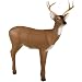 McKenzie® Natra - Look Medium Alert Deer Target