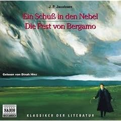 Ein Schu� in den Nebel