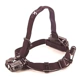 Coleman Exponent Headlamp