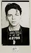 (24x36) Frank Sinatra (Mug Shot) Music Poster Print