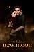 Edward & Bella - The Twilight Saga: New Moon Movie Poster