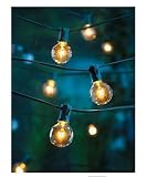 Clear Globe String Lights Set of 25 G40 Bulbs Indoor / Outdoor