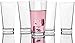 Circleware Theory Huge Drinking Glasses, Set of 10, 17 oz., Clear