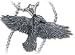 Black Raven - Alchemy Gothic Pendant Necklace