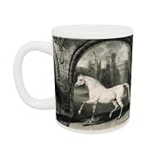 A Persian Horse, from 'Celebrated Horses', a set of fourteen racing prints published by the artist, 1823-24 (litho) by James Ward - Mug - Standard Size