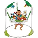 Fisher-Price Rainforest Jumperoo Baby Bouncer