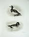1907 Scaup Duck Golden Eye Female Bird Plate