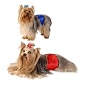 Pet Belly Bands