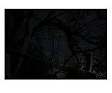 08172 Lainzer Tiergarten 04 Art Giclee Poster Print by andreas kovar, 20x24