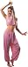 Adult Arabian Dancer Costume, Ladies Standard (Up to Dress size 12)