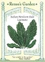 Italian Heirloom Kale Seeds - Lacinato