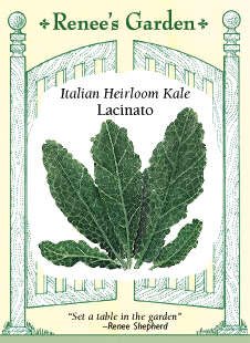 Italian Heirloom Kale Seeds - Lacinato