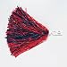 New England Patriots Rooter Pom (sold by the pair) - NFL licensed