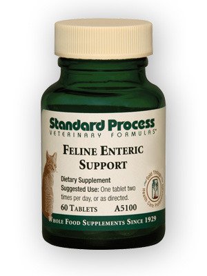 Feline Enteric Support 90 tablets