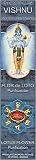 Vishnu Hindu Mythology Incense