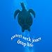 Search : Deep Life