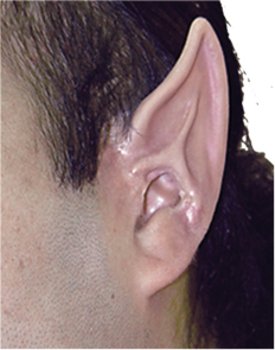 Ez Fix Space Ear Tips Kit Large