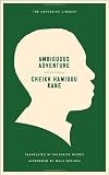 Ambiguous Adventure (Neversink Library)