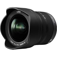 panasonic 7-14mm m43 lens