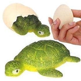  Hatchin Grow Turtle in Egg Magic Growing Animal Water