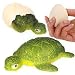 Hatchin Grow Turtle in Egg Magic Growing Animal Water