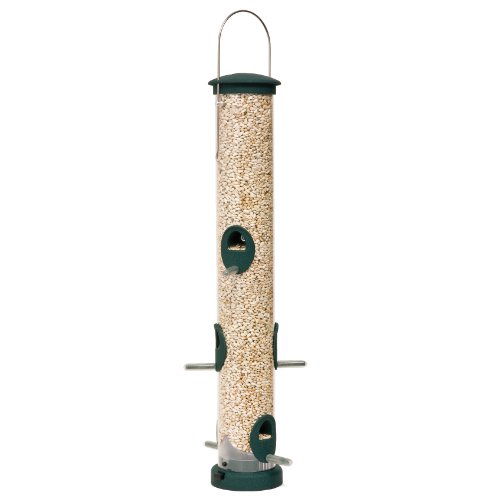 Aspects 425 Quick Clean Spruce Large