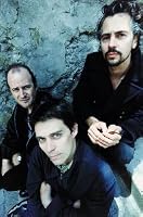 Image of The Flaming Lips