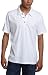 Quiksilver Young Men's Cregg Knit Polo