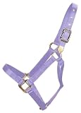 Hamilton 1-Inch Nylon Horse Halter, Large Size (1100-1600 Pounds), Lavender