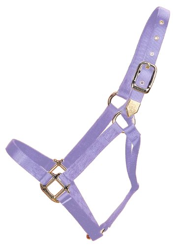 Hamilton 1-Inch Nylon Horse Halter, Large Size (1100-1600 Pounds), Lavender