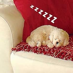 Life Like Puppies by 