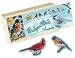 Backyard Birds Magnet Set