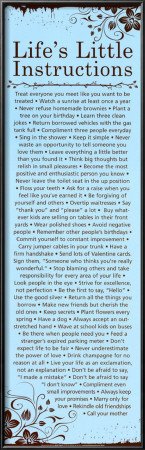 Life's Little Instructions Lamina Framed Poster Print, 12x37