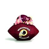 Washington Redskins Desk Paperweight