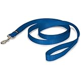 PetSafe Nylon Leash, 1" x 6', Royal Blue